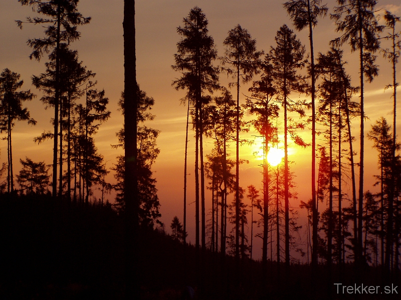 Východ slnka zapaľuje les.JPG - Východ slnka zapaľuje les